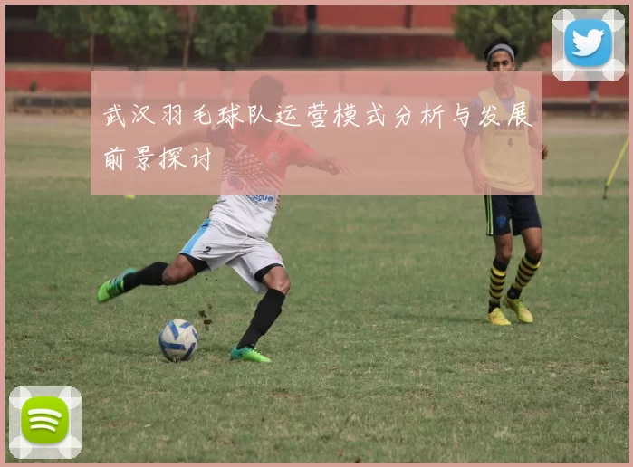 武汉羽毛球队运营模式分析与发展前景探讨