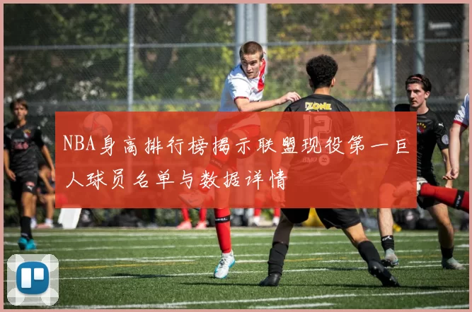 NBA身高排行榜揭示联盟现役第一巨人球员名单与数据详情