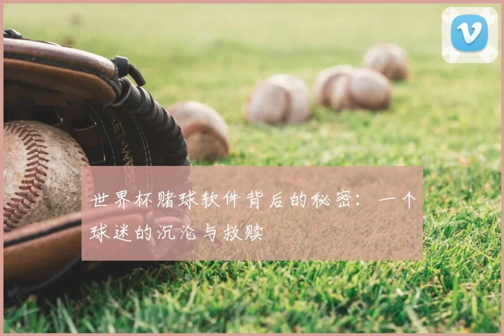 世界杯赌球软件背后的秘密：一个球迷的沉沦与救赎