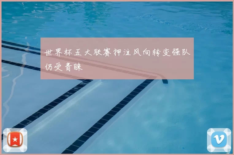 世界杯五大联赛押注风向转变强队仍受青睐