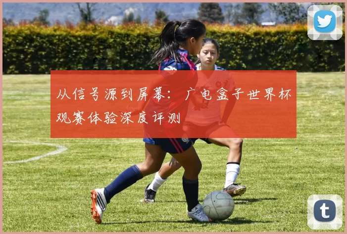 从信号源到屏幕：广电盒子世界杯观赛体验深度评测