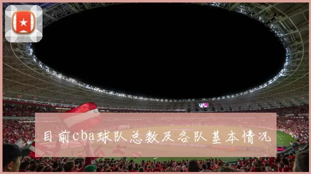 目前cba球队总数及各队基本情况