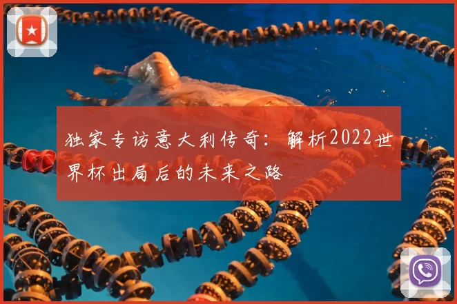 独家专访意大利传奇：解析2022世界杯出局后的未来之路