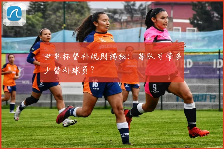 世界杯替补规则揭秘：每队可带多少替补球员？