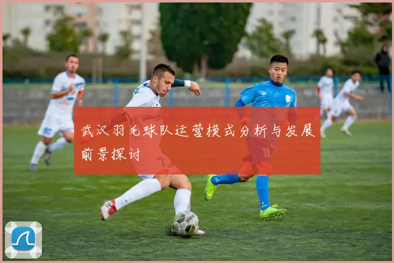 武汉羽毛球队运营模式分析与发展前景探讨