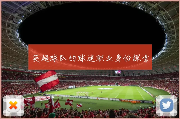 英超球队的球迷职业身份探索