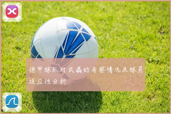 德甲球队对武磊的考察情况及球员适应性分析