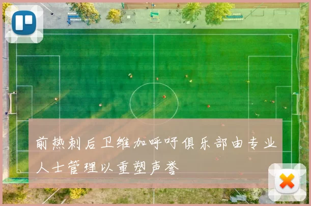 前热刺后卫维加呼吁俱乐部由专业人士管理以重塑声誉
