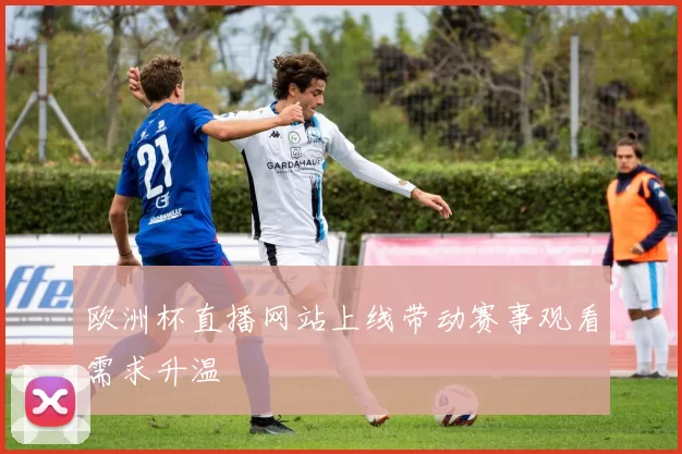 欧洲杯直播网站上线带动赛事观看需求升温