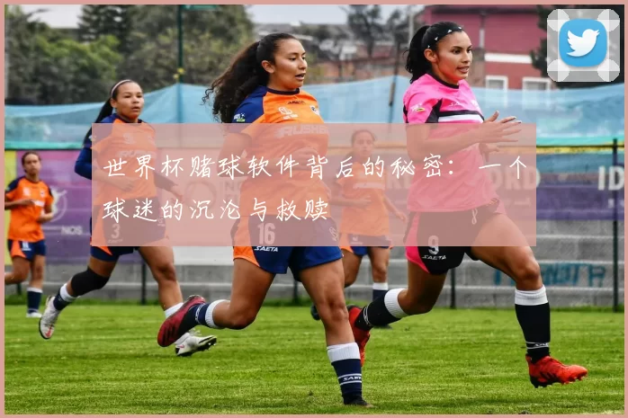 世界杯赌球软件背后的秘密：一个球迷的沉沦与救赎