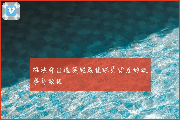 维迪奇当选英超最佳球员背后的故事与数据