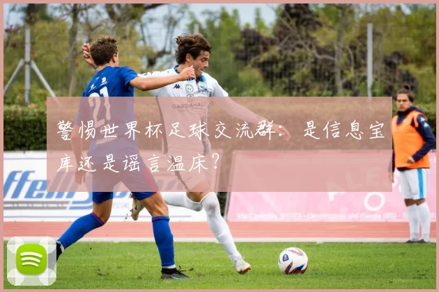 警惕世界杯足球交流群：是信息宝库还是谣言温床？