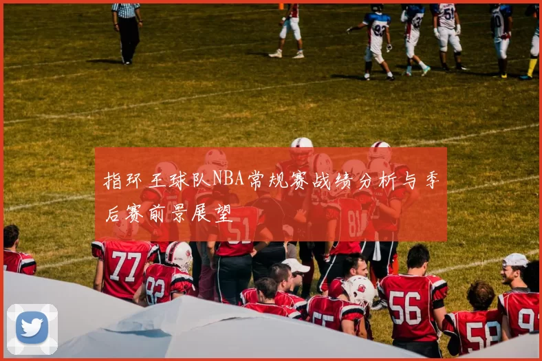 指环王球队NBA常规赛战绩分析与季后赛前景展望