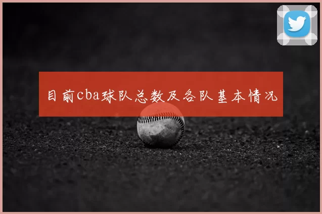 目前cba球队总数及各队基本情况