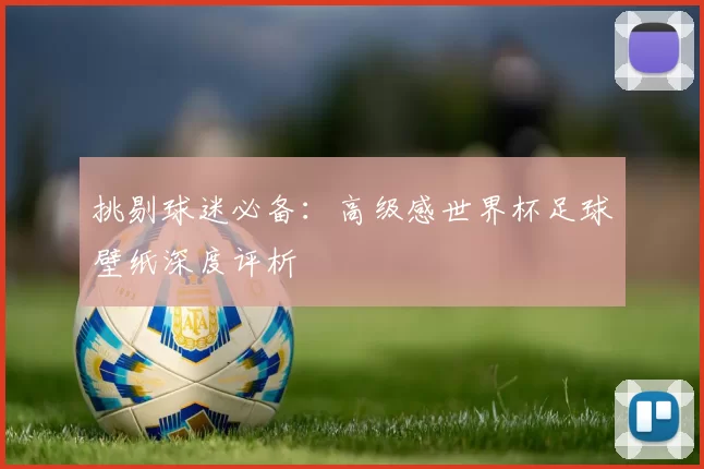 挑剔球迷必备：高级感世界杯足球壁纸深度评析