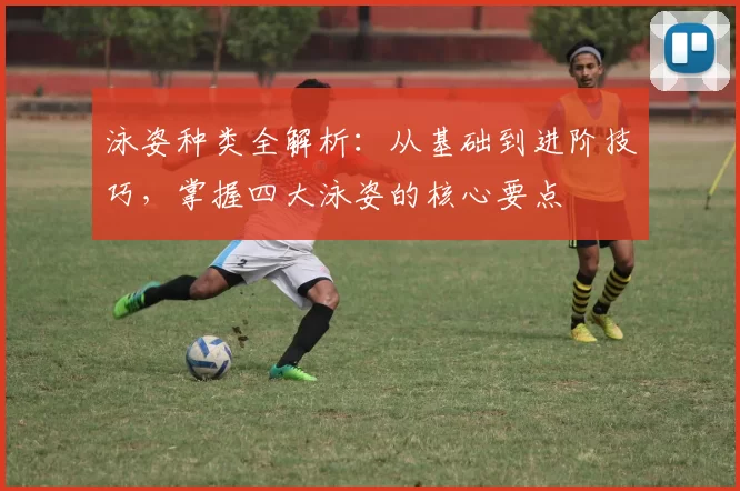 泳姿种类全解析：从基础到进阶技巧，掌握四大泳姿的核心要点