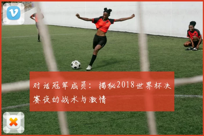 对话冠军成员:揭秘2018世界杯决赛夜的战术与激情