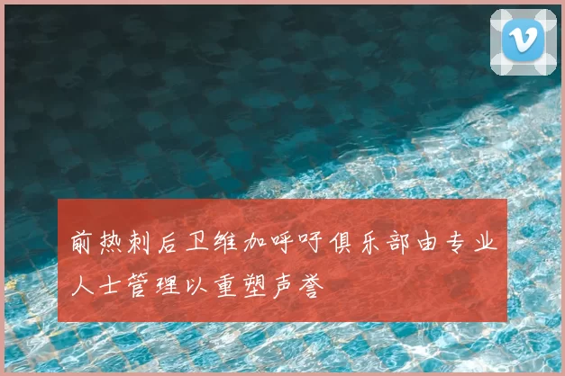 前热刺后卫维加呼吁俱乐部由专业人士管理以重塑声誉