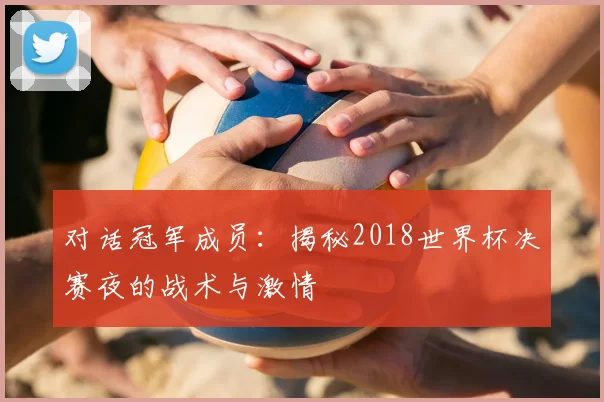对话冠军成员:揭秘2018世界杯决赛夜的战术与激情