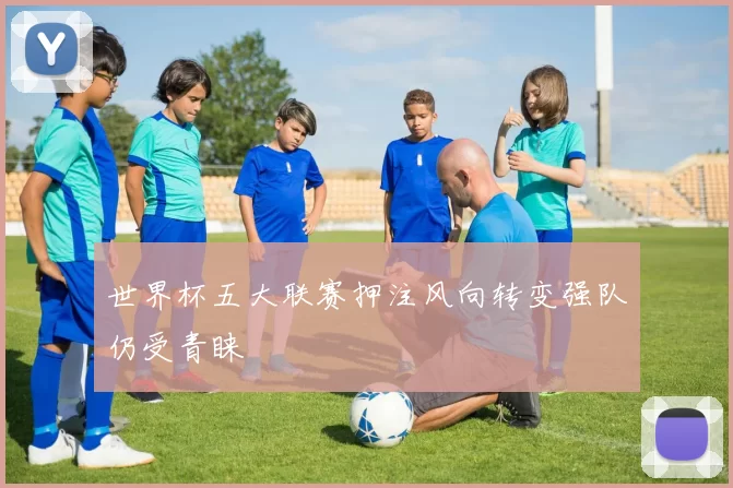 世界杯五大联赛押注风向转变强队仍受青睐