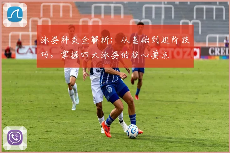 泳姿种类全解析：从基础到进阶技巧，掌握四大泳姿的核心要点