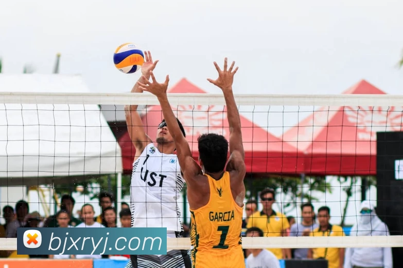 九游体育平台生态图