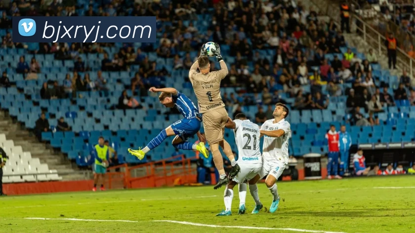 九游体育APP 封面图